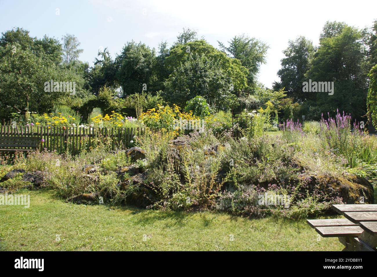 Cottage garden, rockery Stock Photo