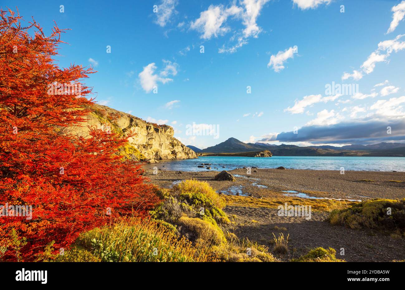 Autumn in Patagonia Stock Photo - Alamy