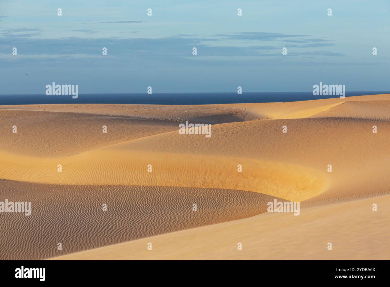 Brazil sand dunes hi-res stock photography and images - Alamy