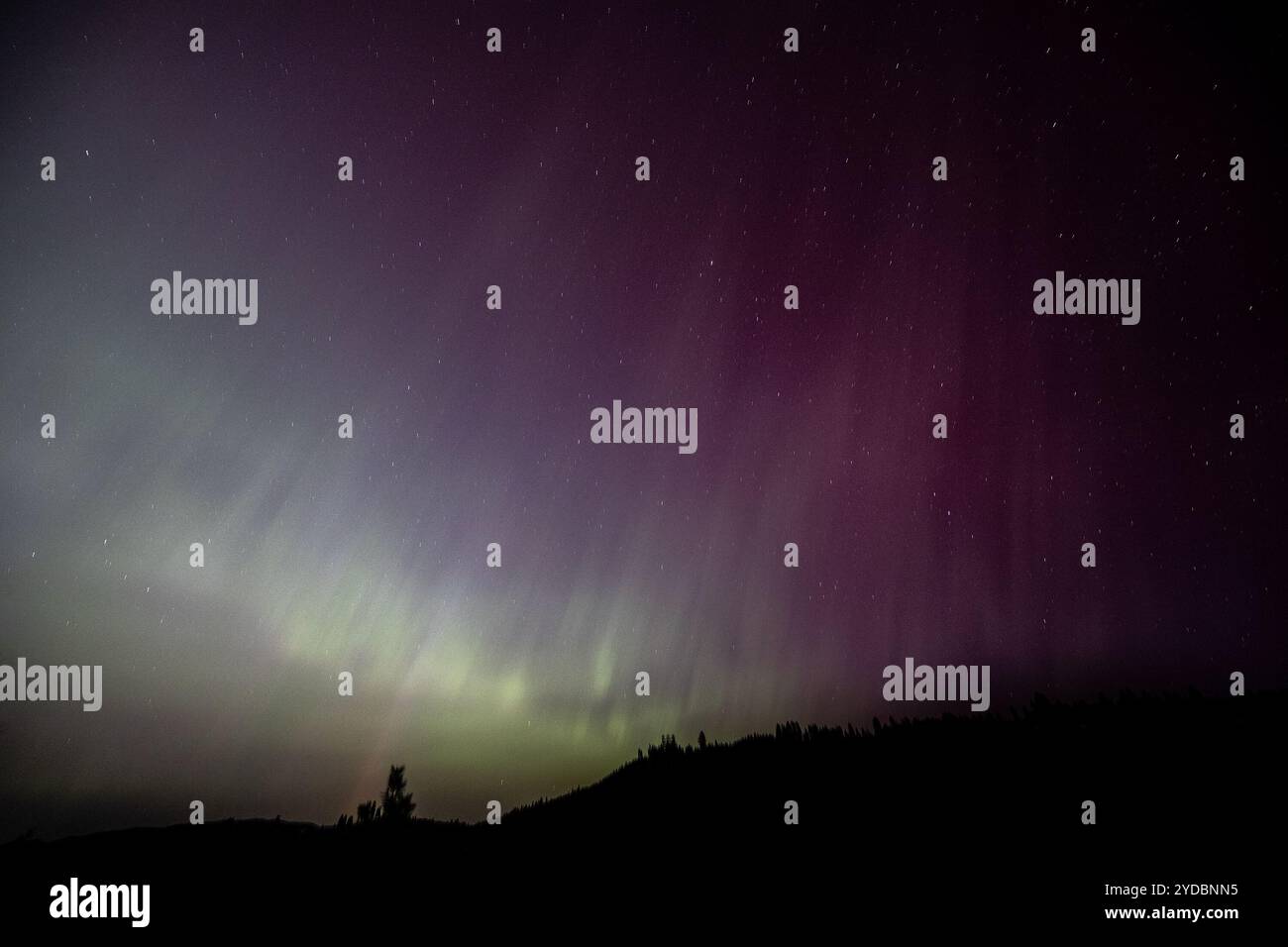 Spectacular Aurora Borealis Display in Starry Night Sky Stock Photo - Alamy