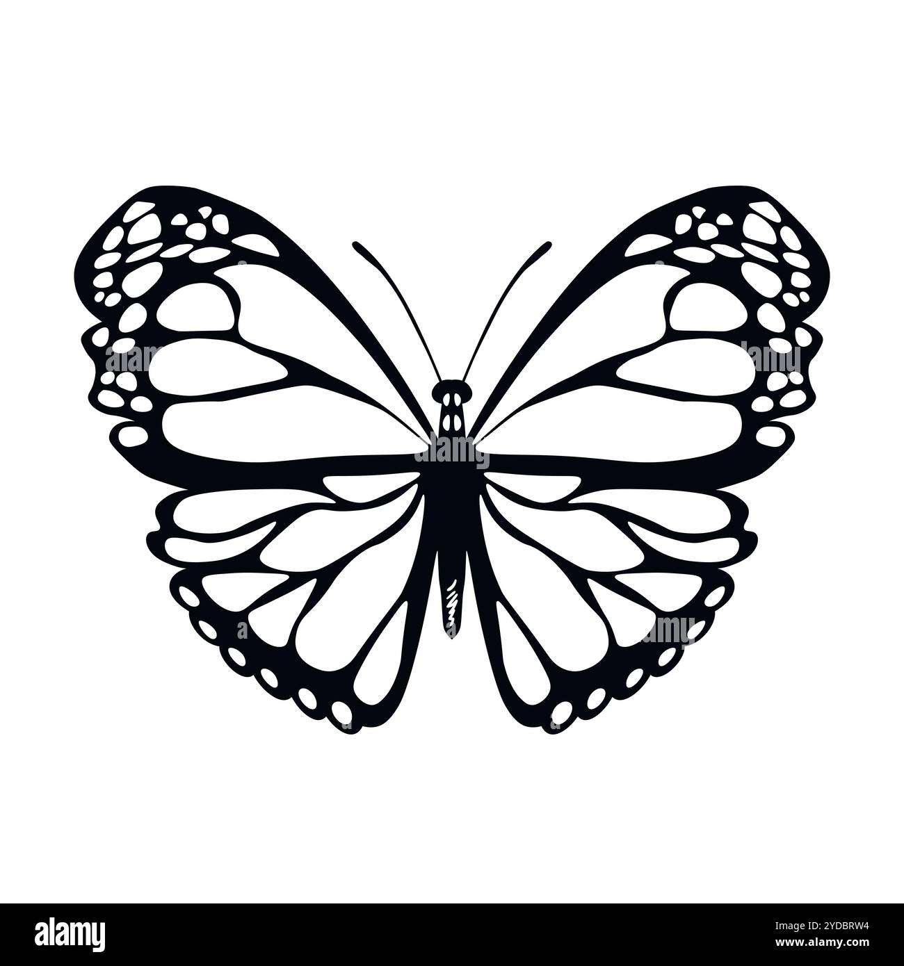 Funny black and white butterfly. Color flat vector of detailed