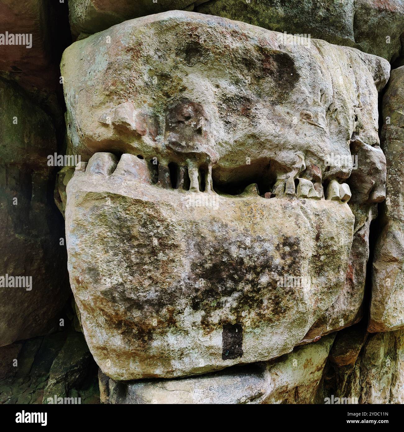 Bizarrely weathered sandstone, detail, Mullerthal Trail, Muellerthal ...