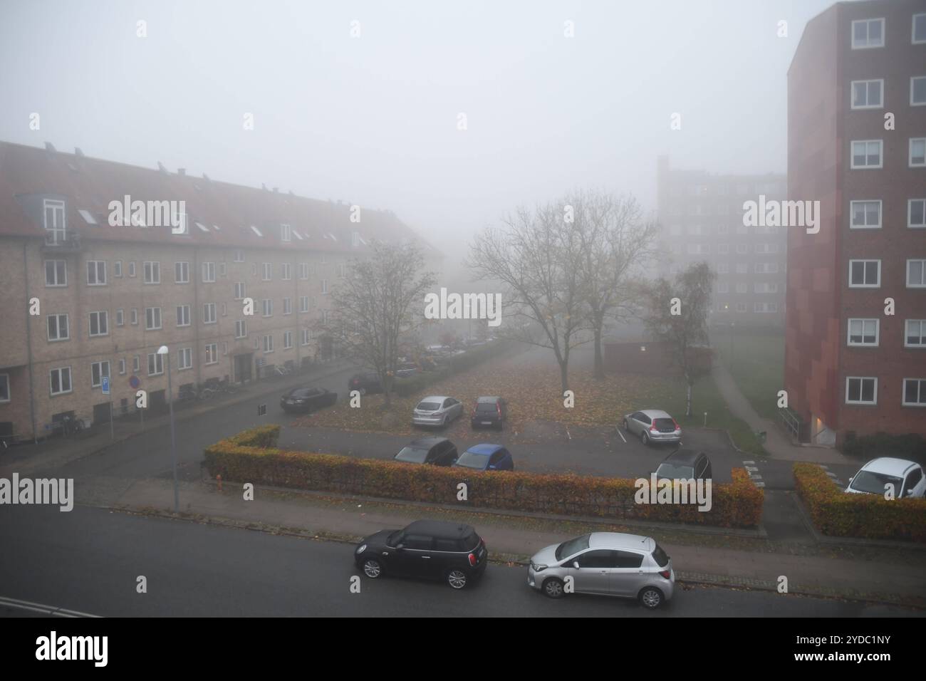 Copenhagen/ DenmarK/26 October 2024/Foggy morning weather in Kastrup ...