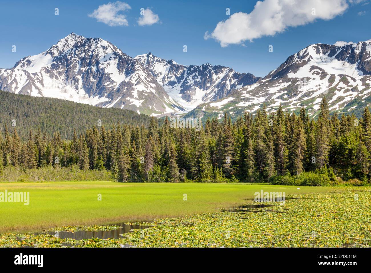 Kenai mountains seward highway hi-res stock photography and images - Alamy