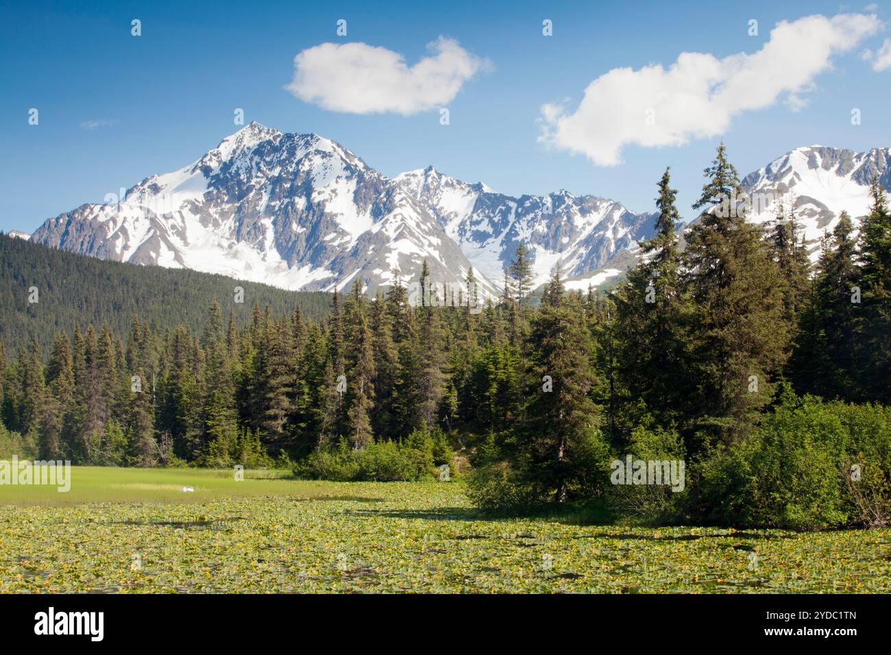 Kenai mountains seward highway hi-res stock photography and images - Alamy