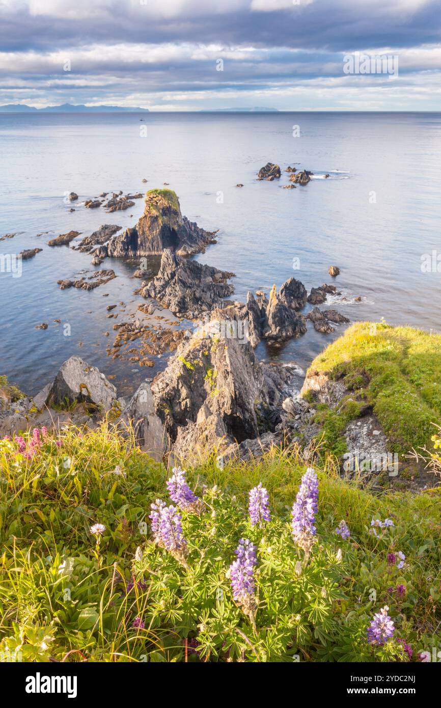 Abercrombie kodiak island alaska hi-res stock photography and images - Alamy, image size:866x1390