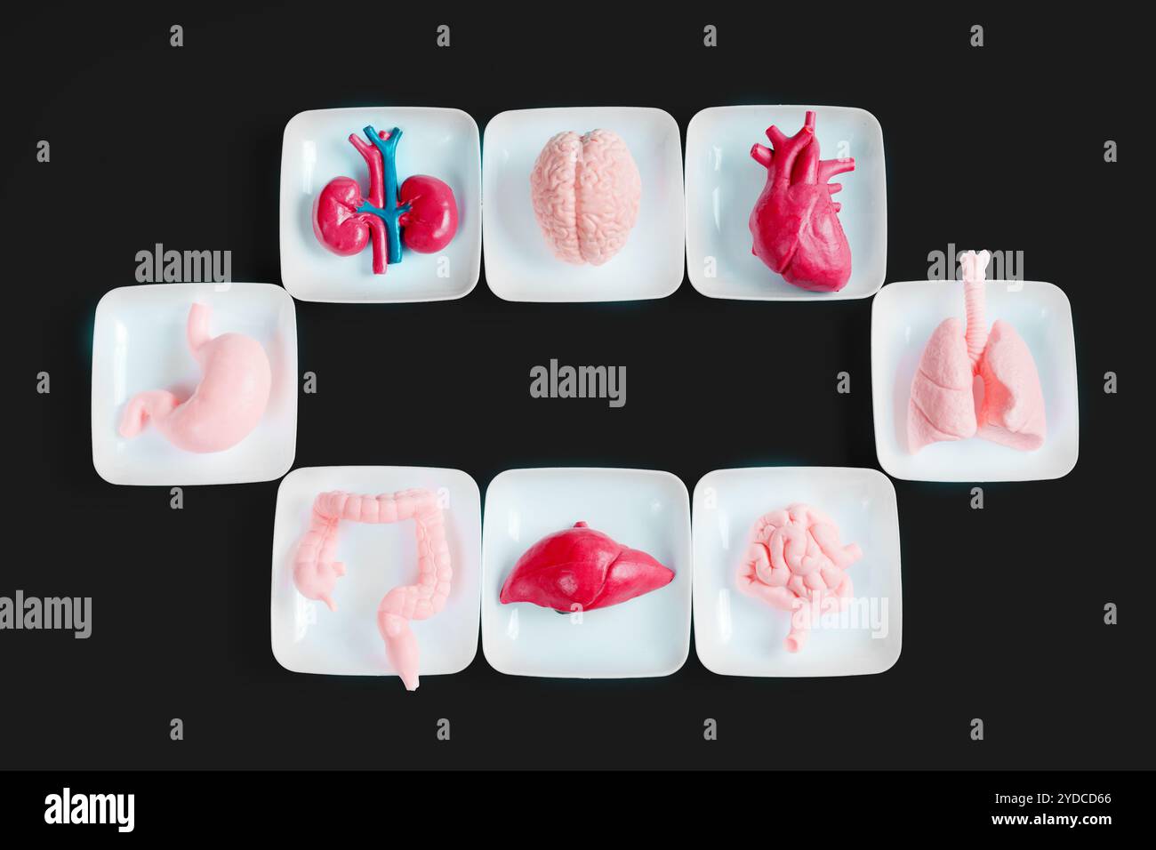 Miniature anatomical models of human organs arranged on plates. Includes heart, brain, lungs, liver, stomach, kidneys, and intestines in vibrant color Stock Photo