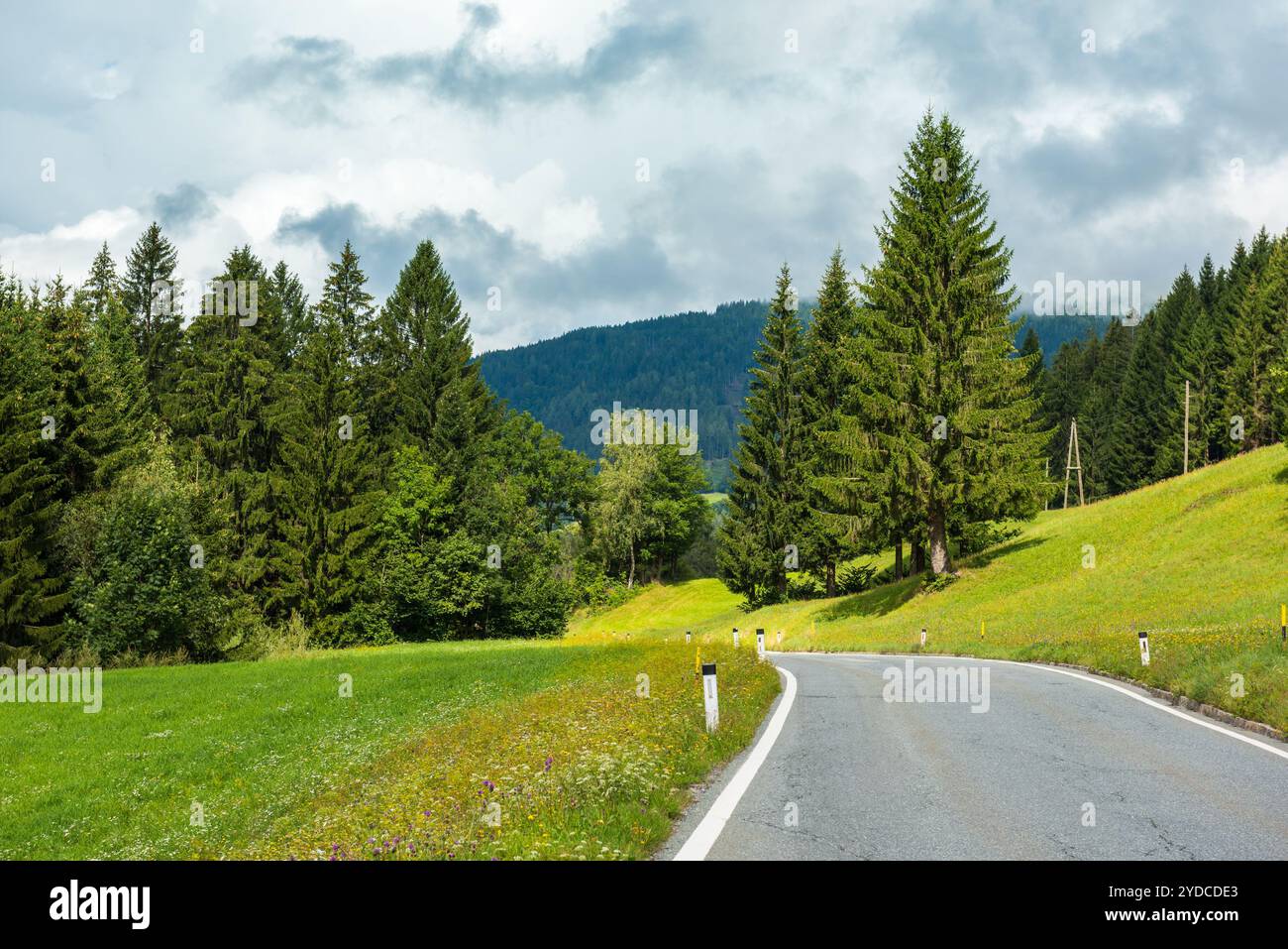 Green country road winding through hires