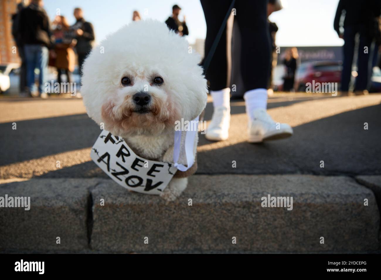 Cute dog with a sign 