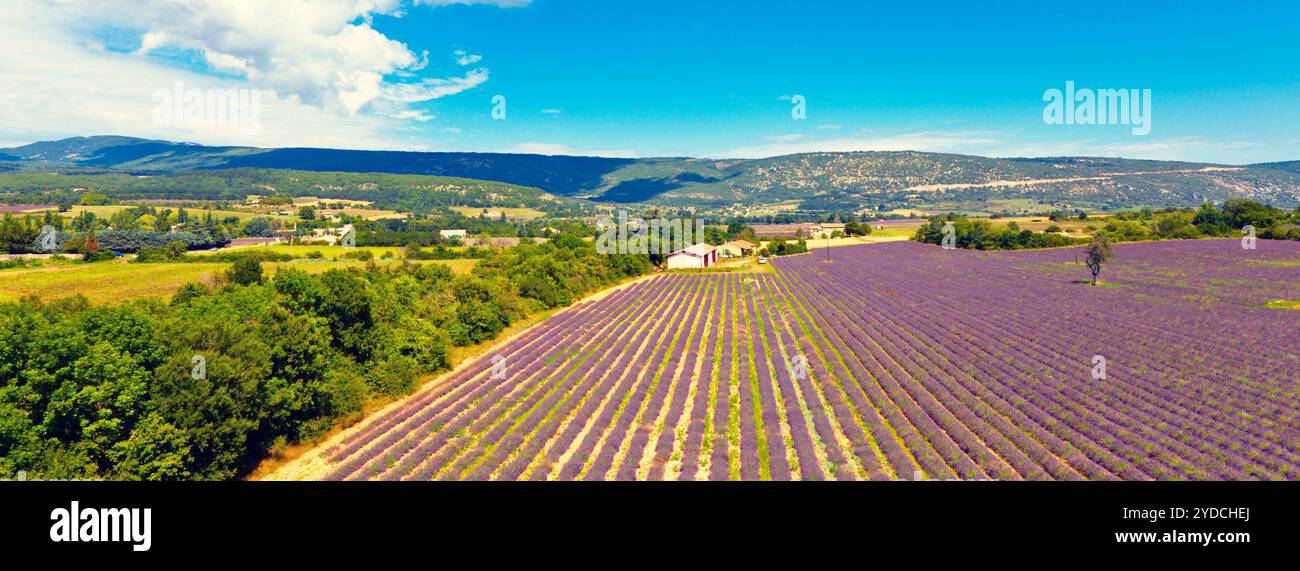 Beauty of provence hi-res stock photography and images - Alamy