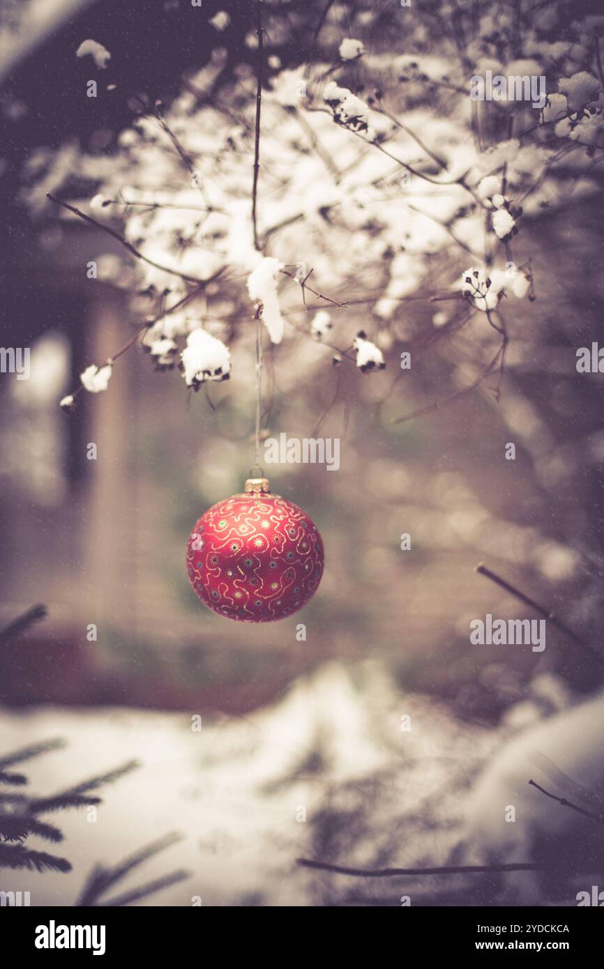 Christmas ball on a tree branch Stock Photo - Alamy