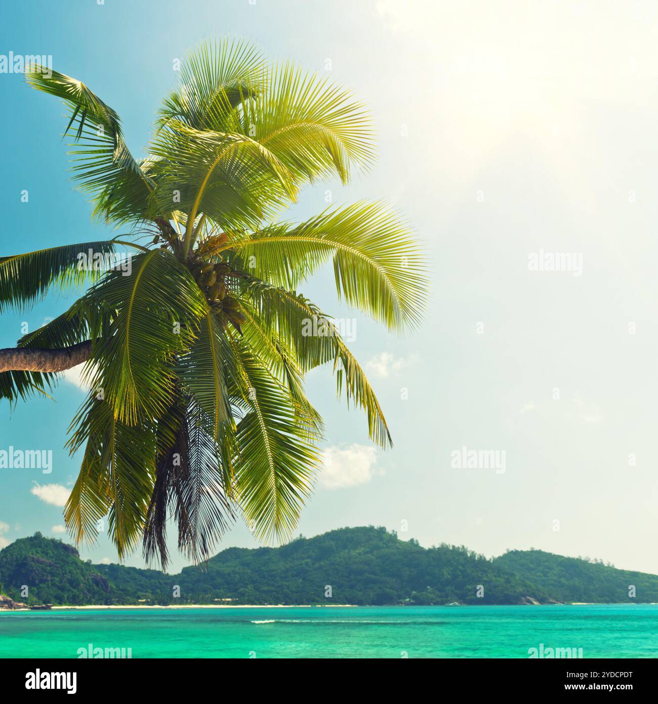 Sunny nature tropical island beach hi-res stock photography and images ...