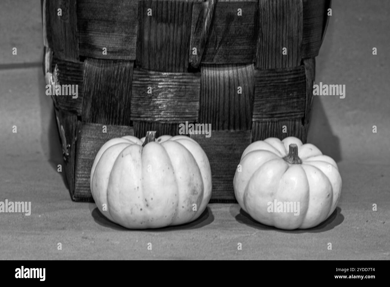 Various pumpkins Black and White Stock Photos & Images - Alamy