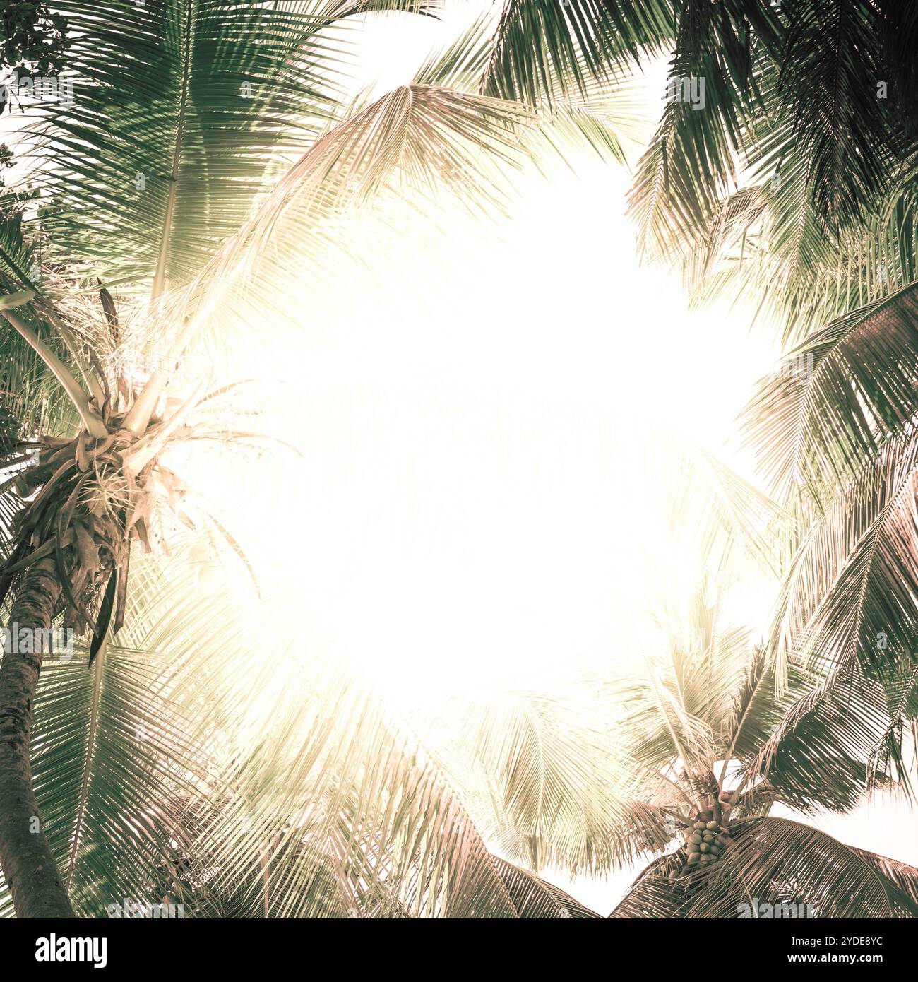 Tropical heat hi-res stock photography and images - Alamy