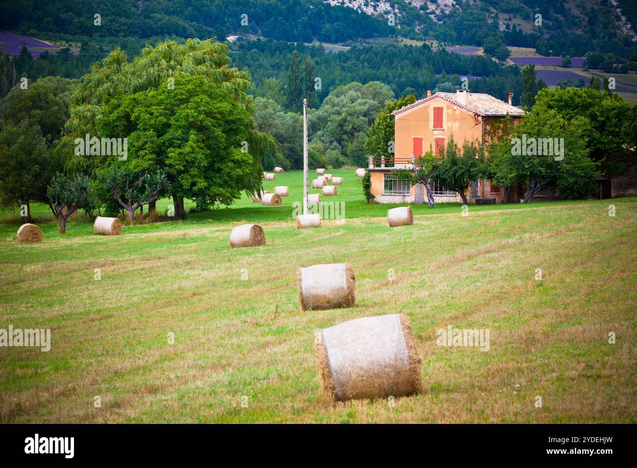 Rural landscape farm scenery hi-res stock photography and images - Alamy