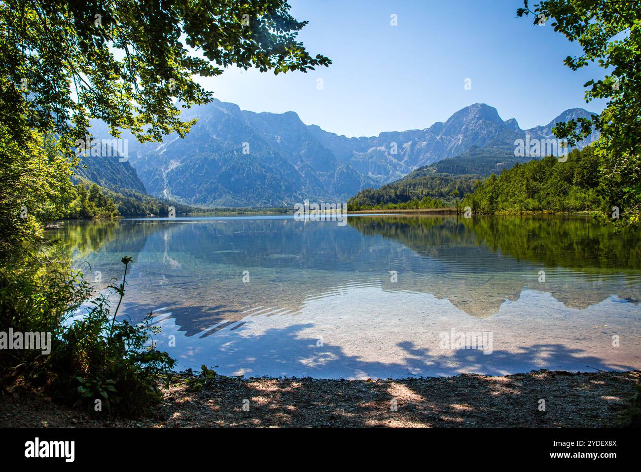 Almsee hi-res stock photography and images - Alamy