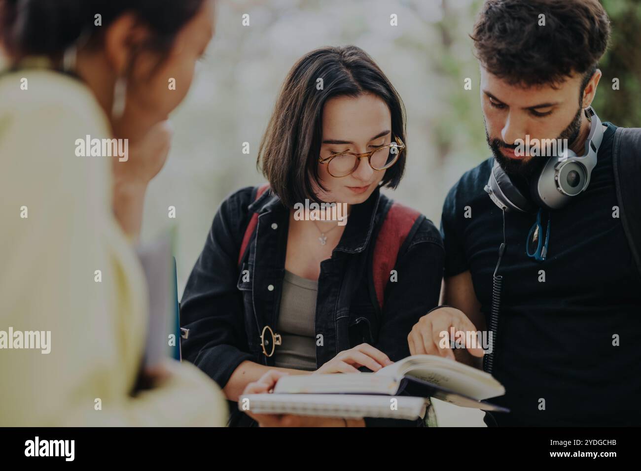 Multicultural students collaborating on school projects in the park Stock Photo