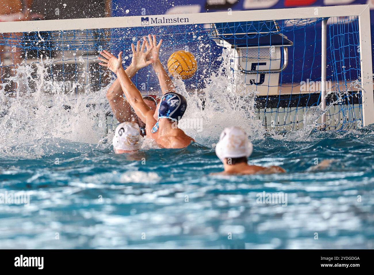 Waterpolo recco hi-res stock photography and images - Alamy
