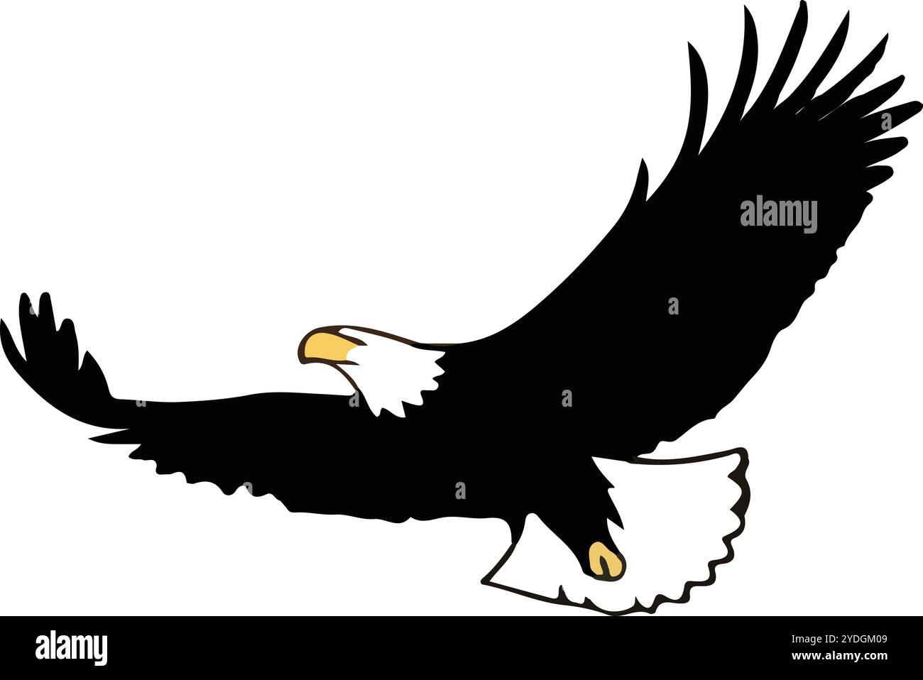 Hunting eagle flying in search of food vector Design ,Cartoon predator