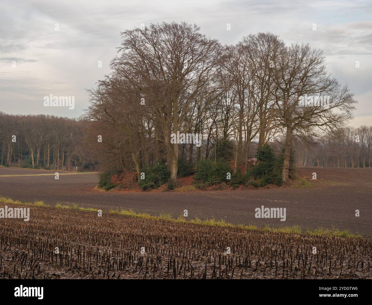 Hiking at reken in the german muensterland Stock Photo - Alamy