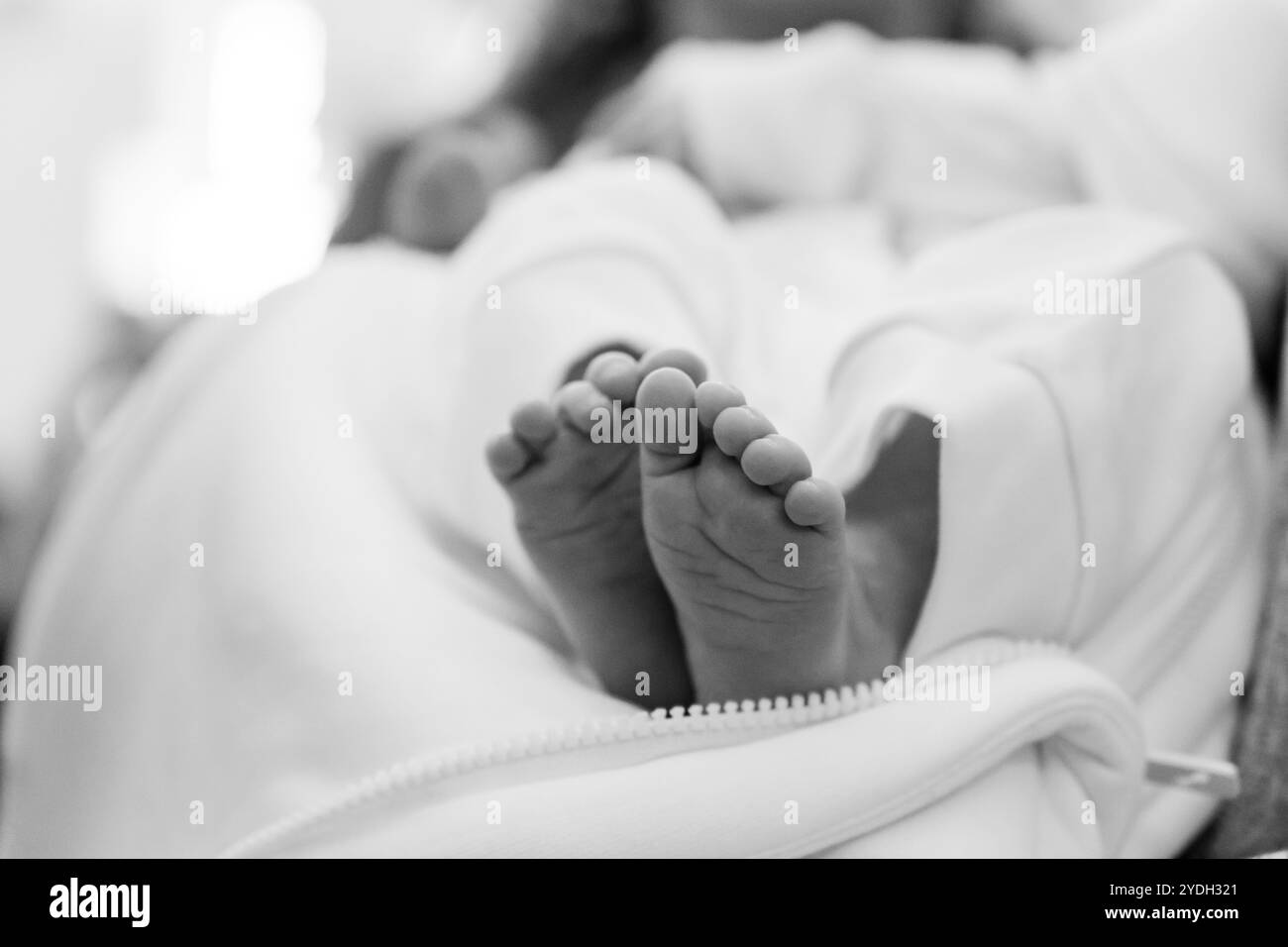 Newborn baby feet in soft white blanket stock photo alamy