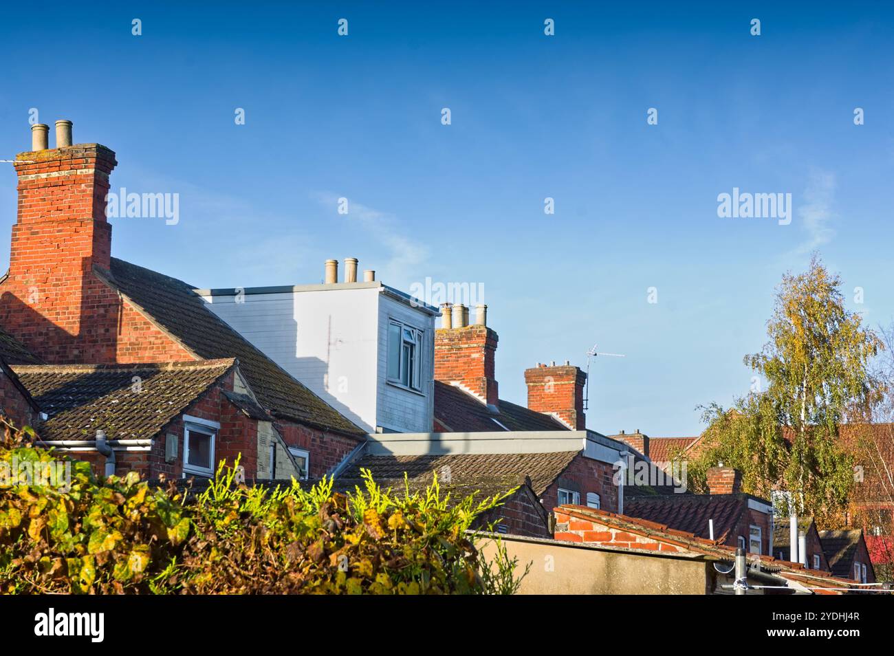 House rooftops with autumn trees with blue sky Stock Photo - Alamy