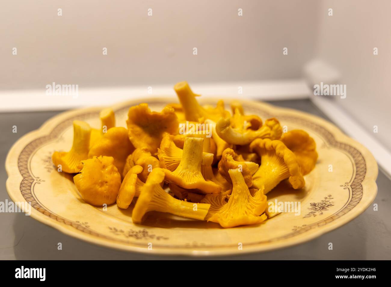 Rinsed and cleaned chantarelle mushrooms laying on a plate Stock Photo