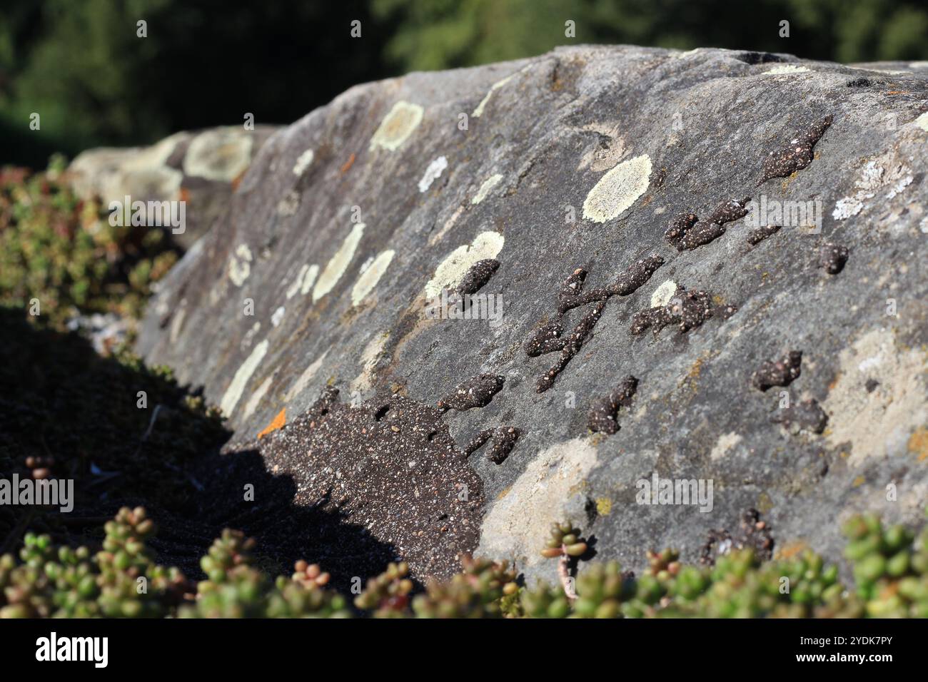 Moss covered rock wall hi-res stock photography and images - Alamy