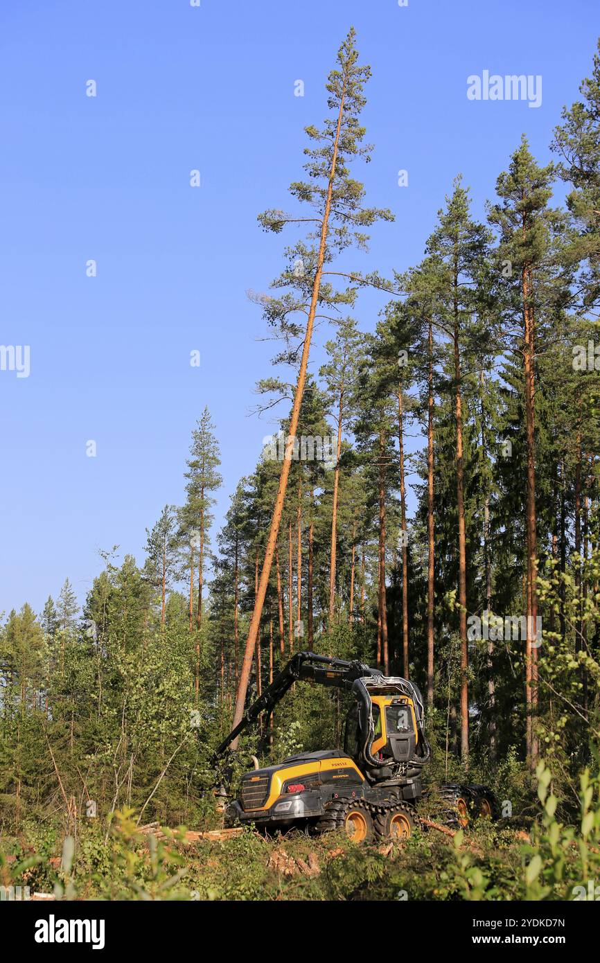 Logging cuts hi-res stock photography and images - Alamy