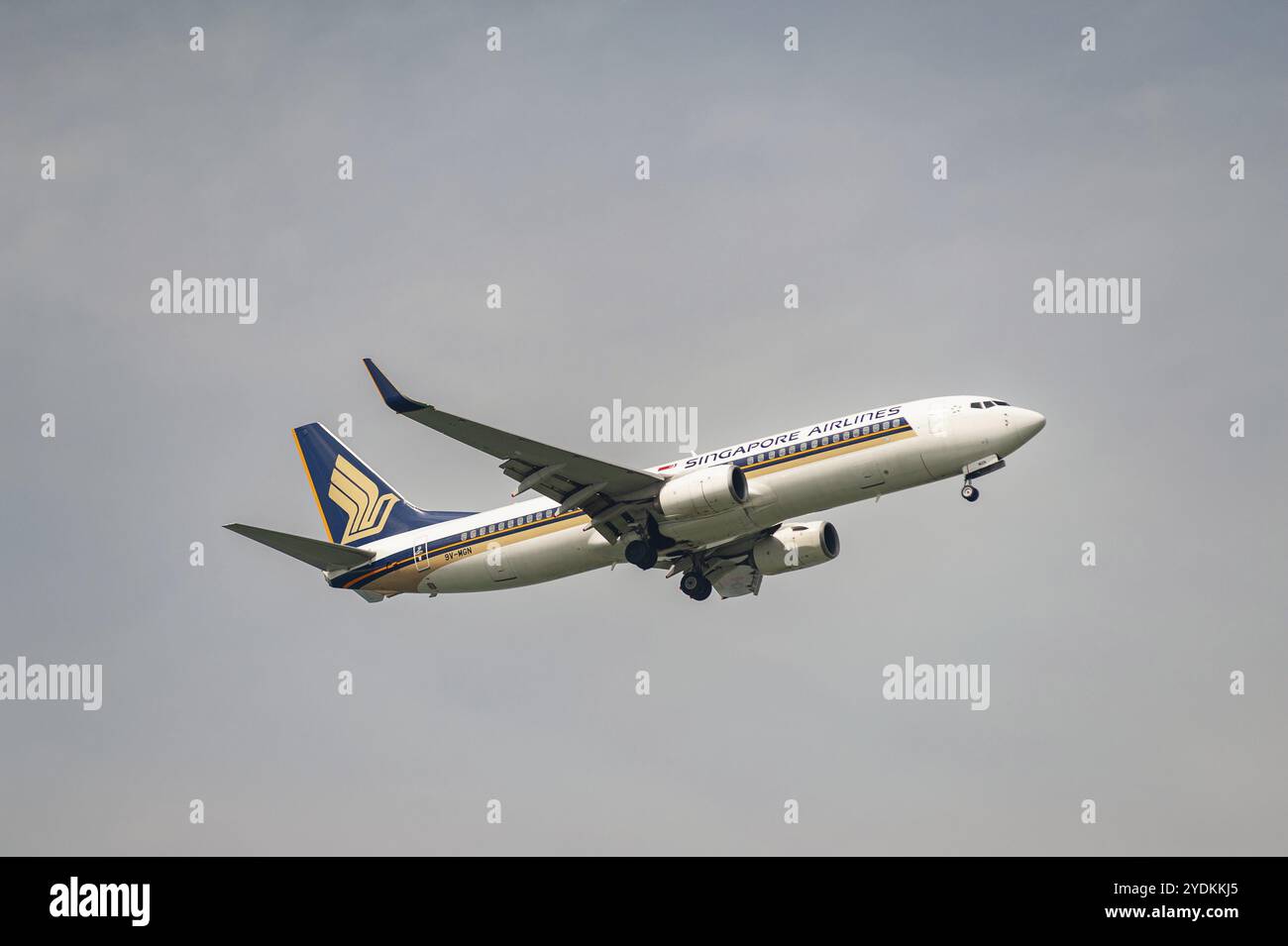 ＡI R  N IＰＰ O N旅客機 B-737 公式の AI R N IPP O N旅客機 B-737 航空機・ヘリコプター