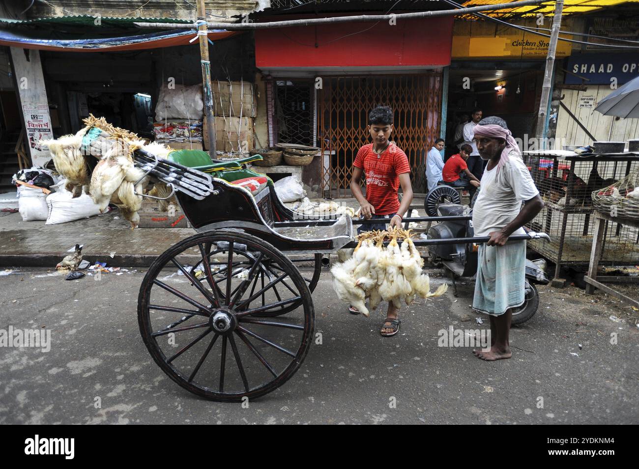17.07.2011, Kolkata (Calcutta), West Bengal, India, Asia, A rickshaw ...