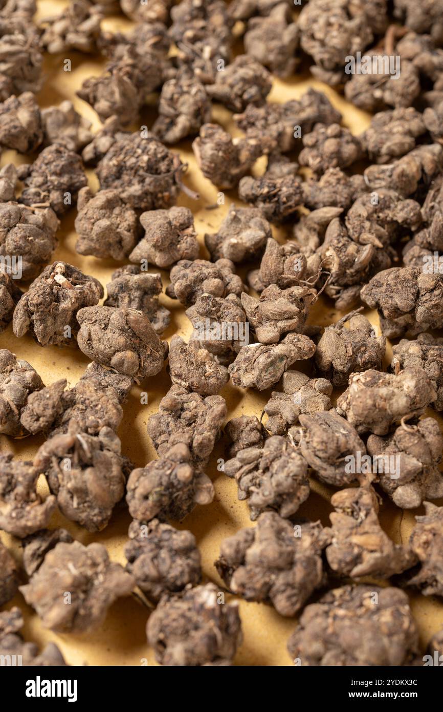 Buttercup root hi-res stock photography and images - Alamy