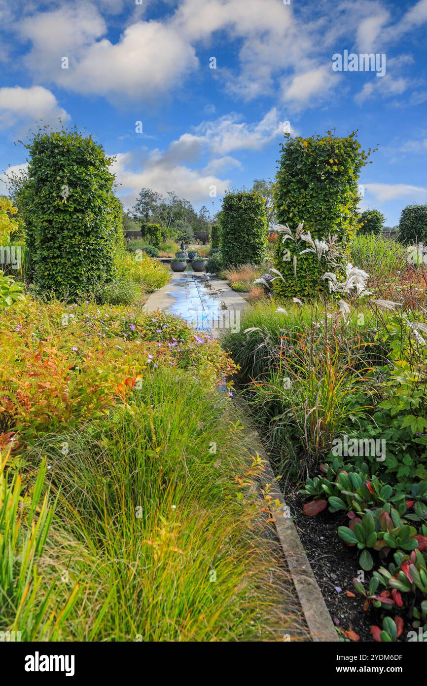 Sinuous Rill Garden A water rill in the Paradise Garden at the RHS Garden Bridgewater ...