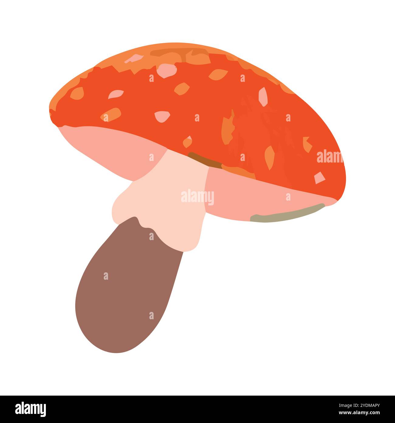 Vector illustration of a fly agaric mushroom in cartoon style on white background. Fly agaric for a ritual on Halloween. Stock Vector