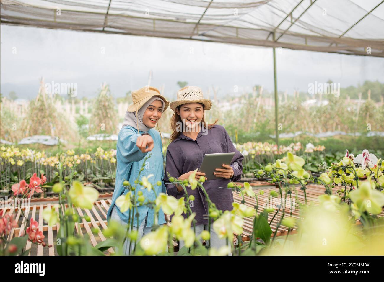 Two women are collaborating in a greenhouse to cultivate flowers using ...