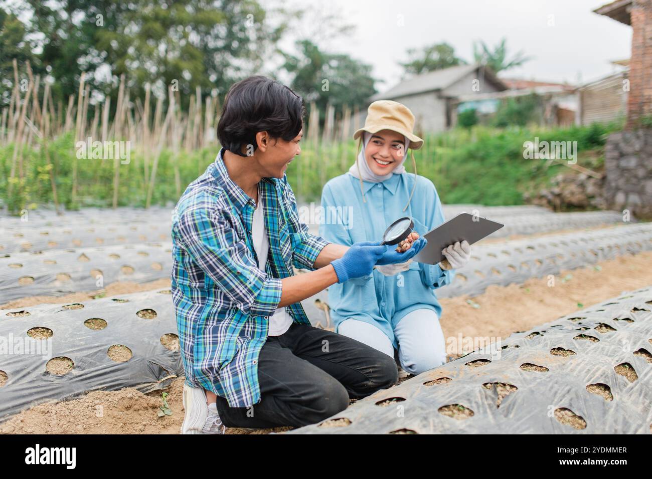 Sustainable agriculture data hi-res stock photography and images - Alamy