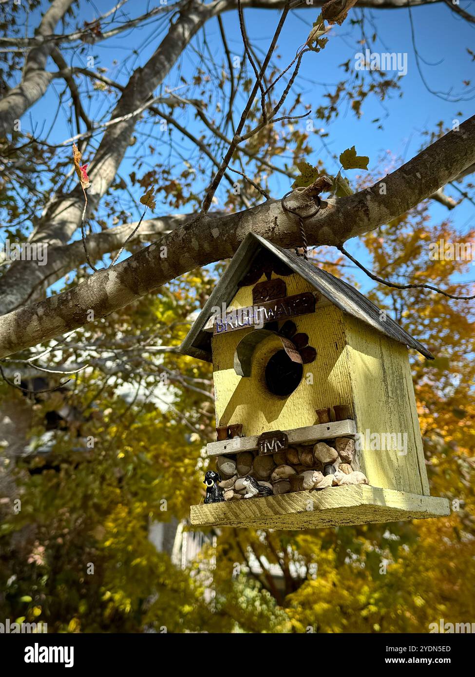 Rustic handmade birdhouse with pebble details hanging on a tree branch during autumn, surrounded by colorful fall foliage under a clear blue sky - Smartphone Captured Stock Image