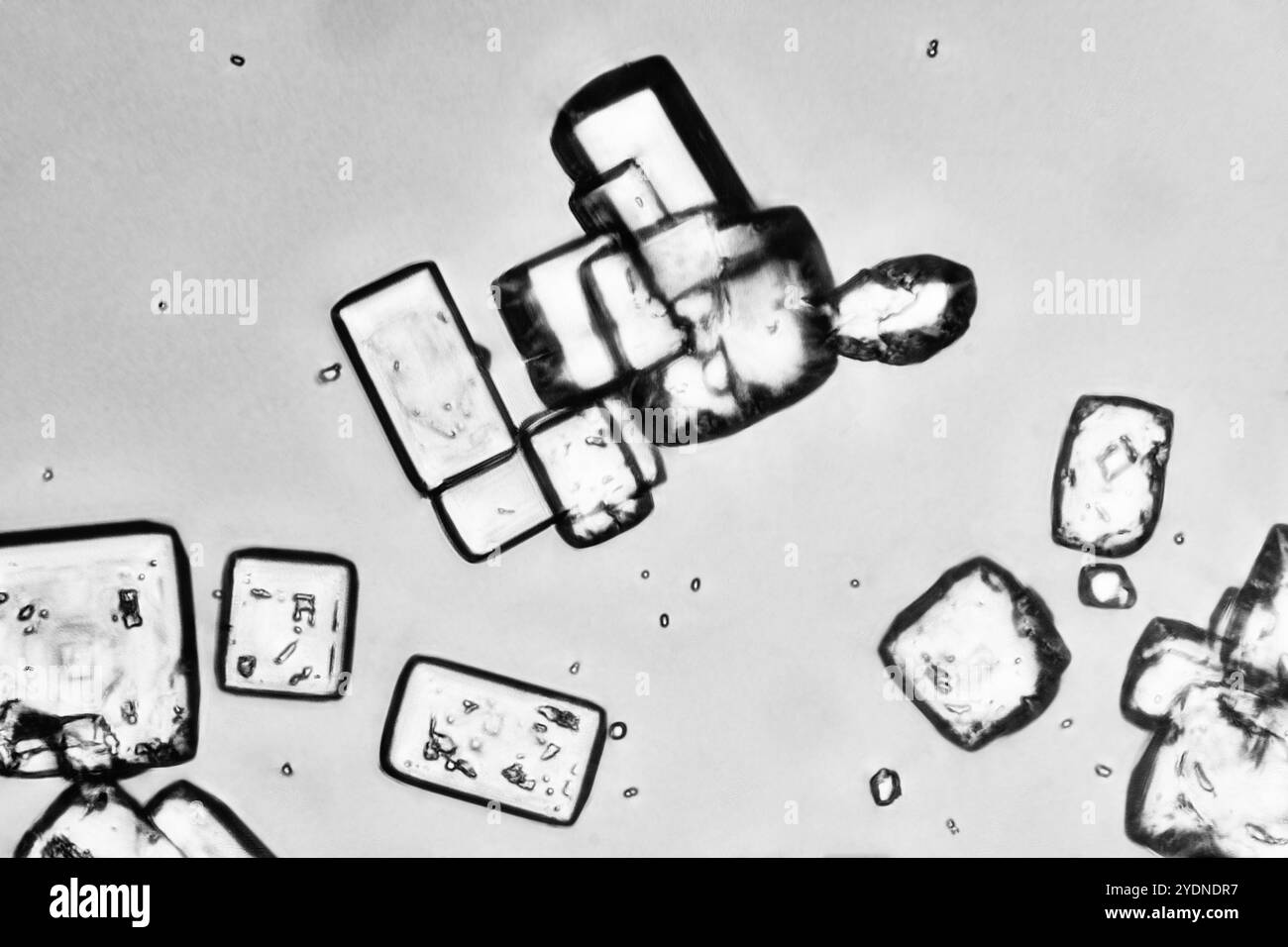 Close up of salt crystals under a microscope at 10 times magnifciation ... image.