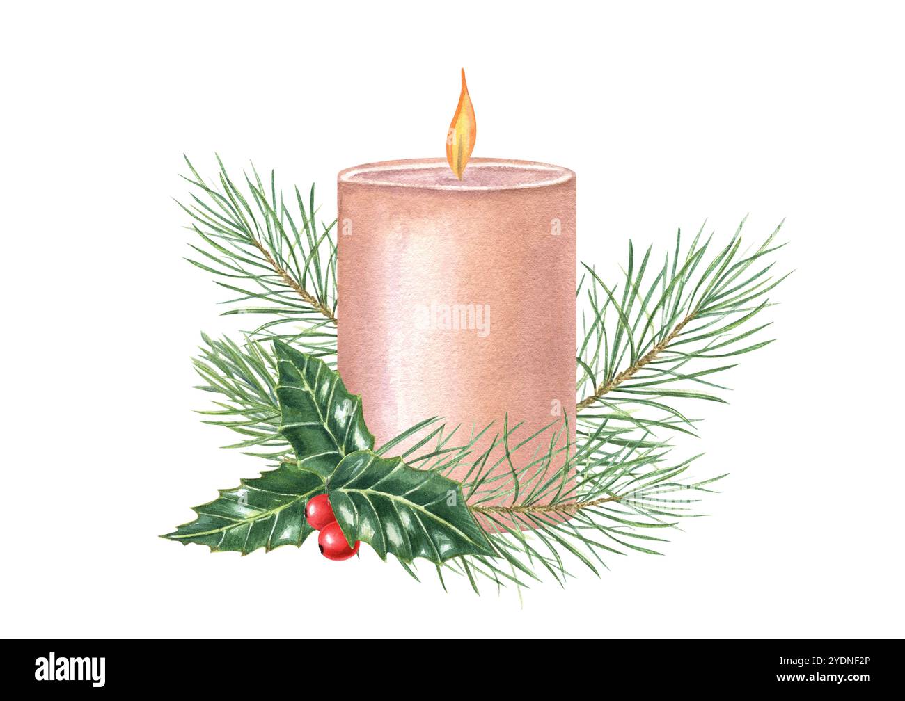 Christmas burning candle with red holly berries and green fir branches ...