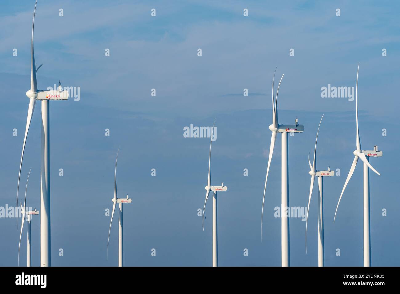 October 25, 2024. Maasvlakte Rotterdam, The Netherlands. A group of Windmills at The Maasvlakte, Rotterdam. Stock Photo