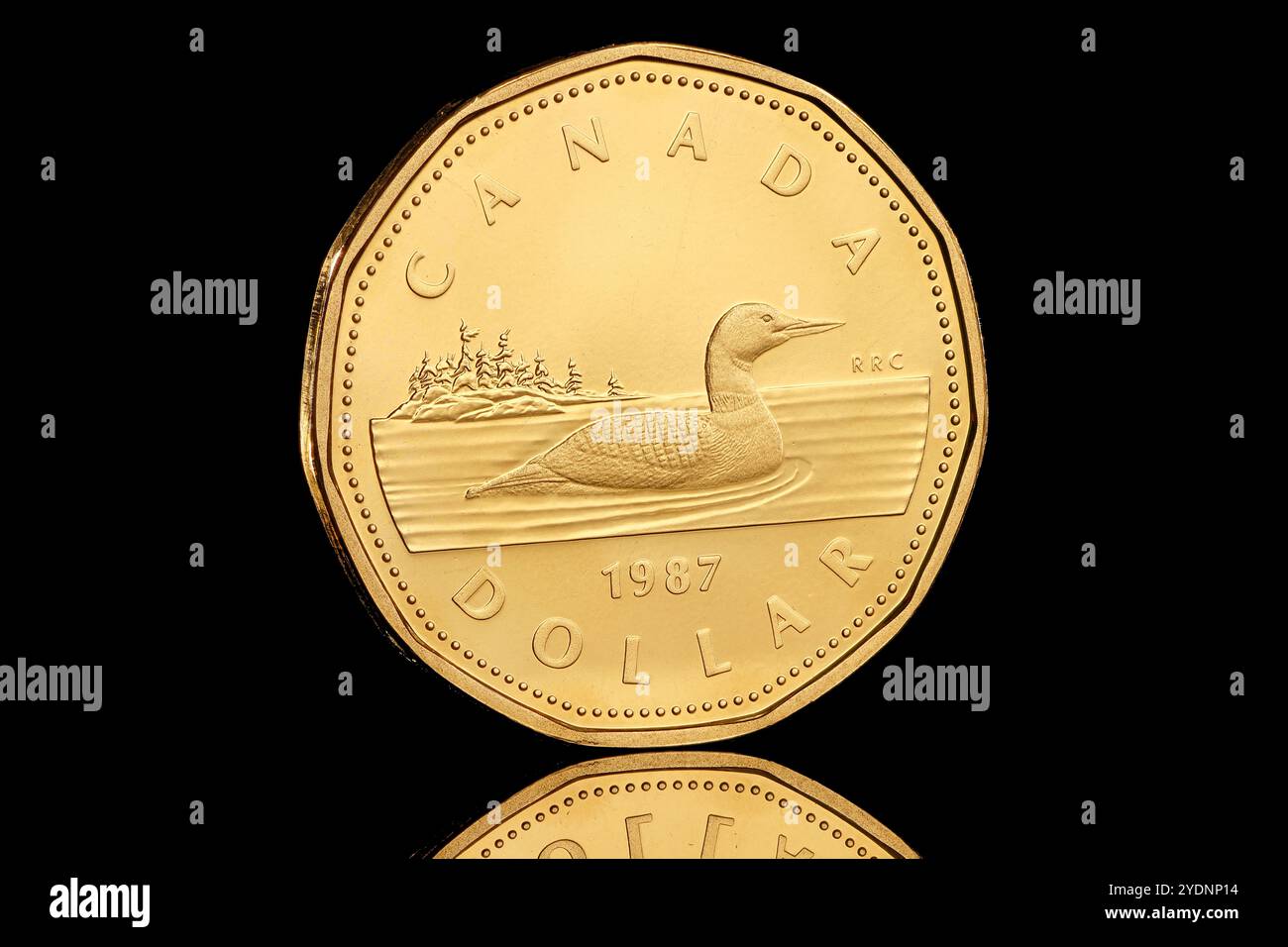 Canada One Dollar coin with The Loon design on the reverse and Arnold Macins portrait of Queen Elizabeth II on the obverse issued in 1987 Stock Photo