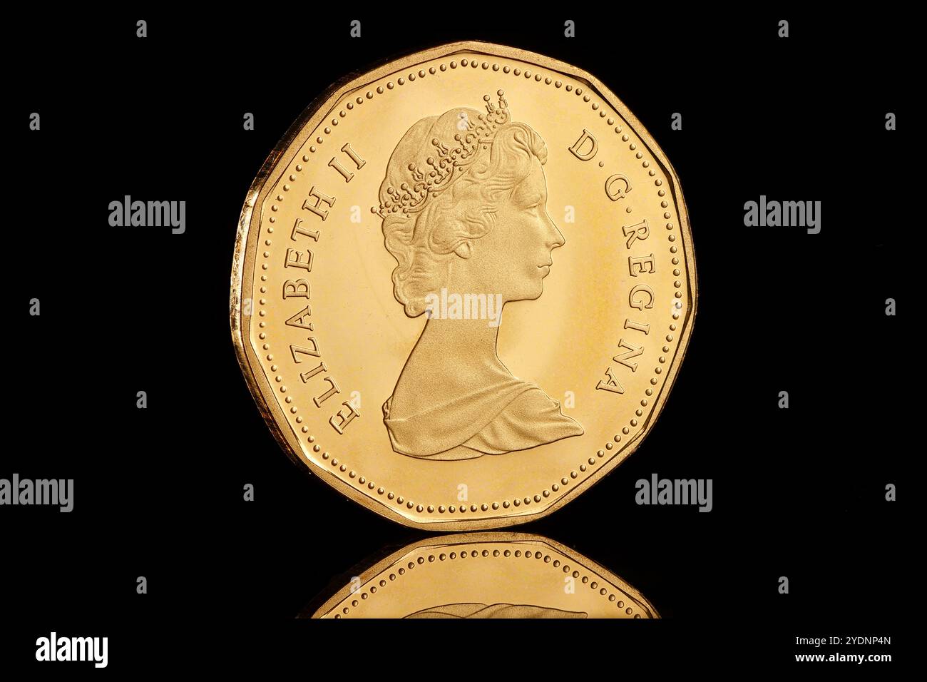 canada-one-dollar-coin-with-the-loon-design-on-the-reverse-and-arnold