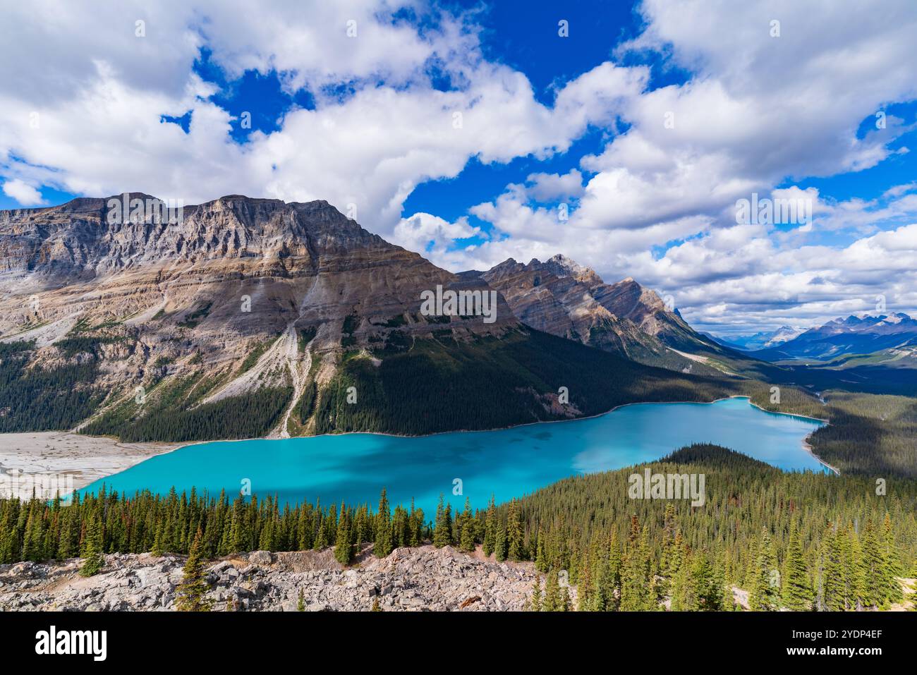 Peyto Lake in Banff National Park, Alberta, Canada Stock Photo - Alamy