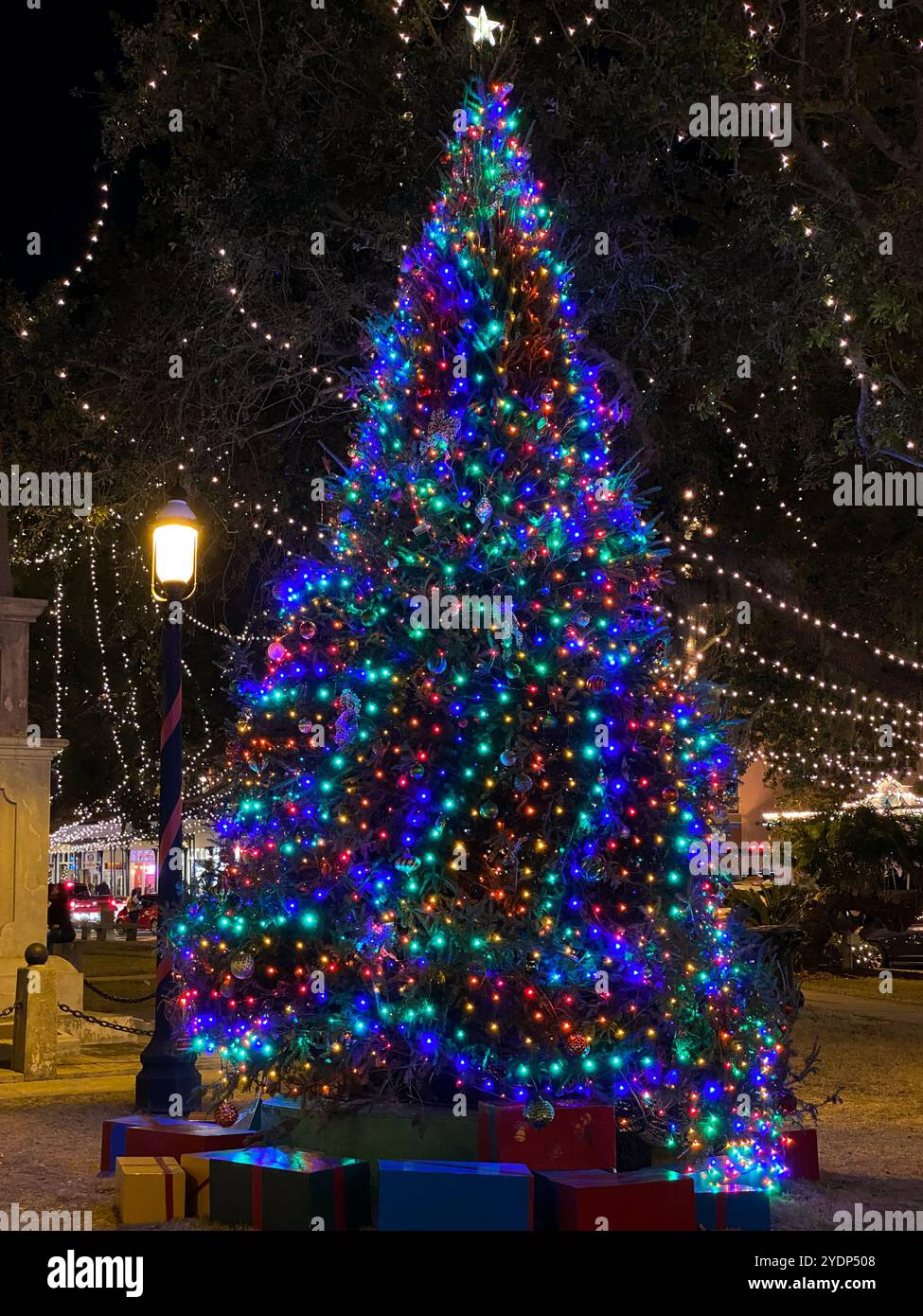 Lighted Christmas Tree in Plaza de la Constitución During The Nights of Lights Holiday Celebration in St. Augustine, Florida, USA - Smartphone Captured Stock Image