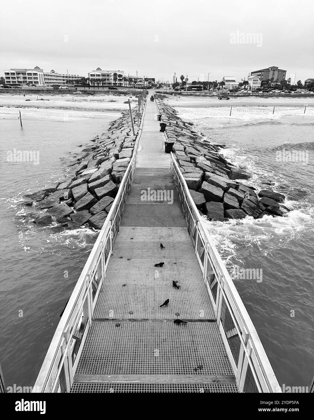 61st Street Fishing Pier, Galveston, Texas, United States, North America Stock Photo
