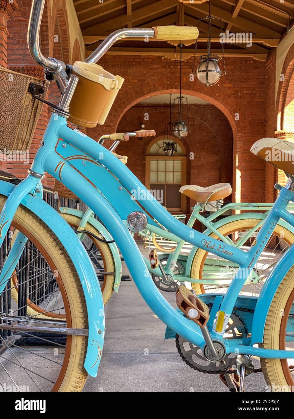 Flagler College Formerly Hotel Ponce de Leon, St. Augustine, Florida, USA - Smartphone Captured Stock Image