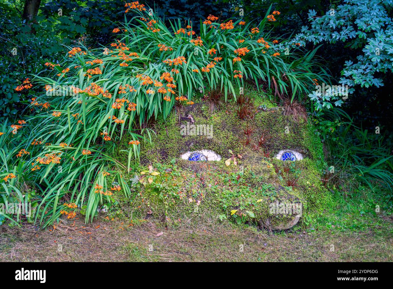 Cornwall, England - 2nd August 2020: Lost Gardens of Heligan Giant's Head Stock Photo