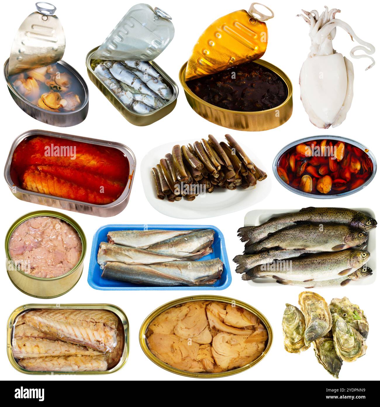 Canned fish isolated preserve hi-res stock photography and images - Alamy