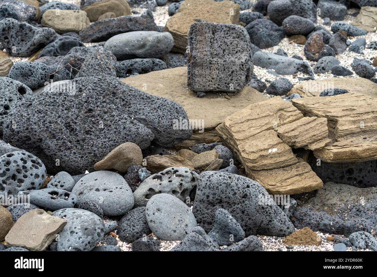 Bumpy Lava Rocks Variety volcanic rocks in hi-res stock photography and images - Alamy