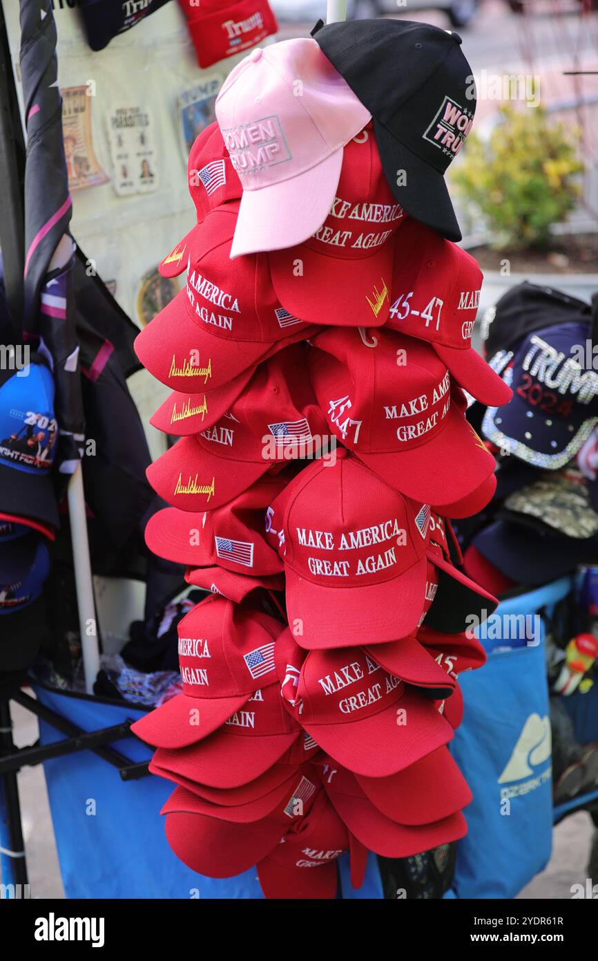NEW YORK, NEW YORK - OCTOBER 27: Trump supporters line up on 33rd ...